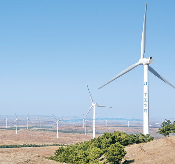 ����������Ŀ